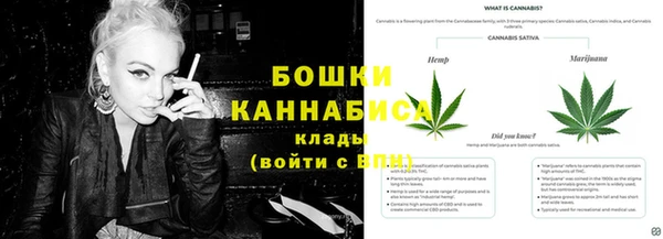 дурь Дмитровск