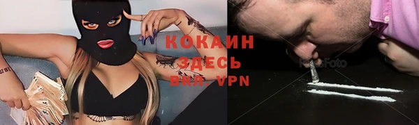 дурь Дмитровск