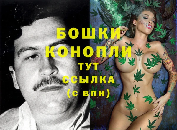 молекула духа Инсар
