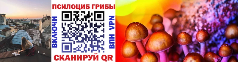 Галлюциногенные грибы MAGIC MUSHROOMS  Купить где  Кинель 